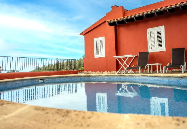  en Icod de los Vinos - Finca La Chamusca