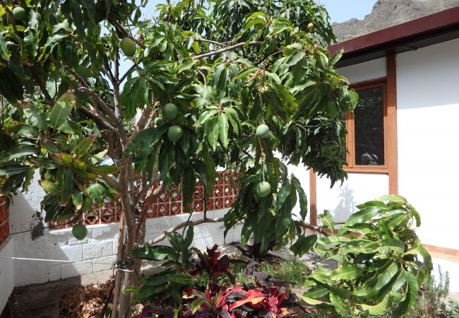 Casa en Santa Cruz de Tenerife - Casa Vera Casa en Santa Cruz de Tenerife - Casa Vera