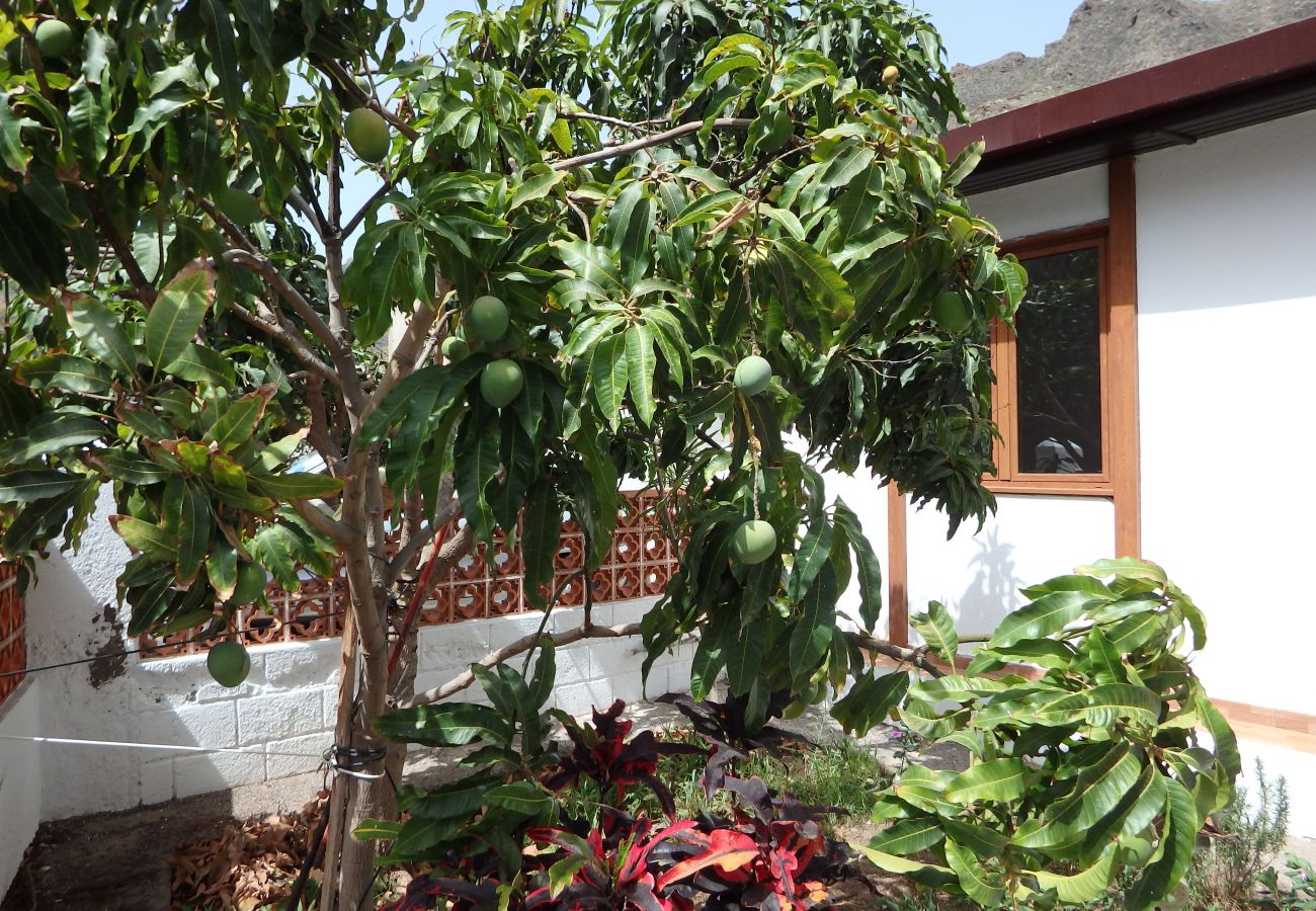Casa en Santa Cruz de Tenerife - Casa Vera Casa en Santa Cruz de Tenerife - Casa Vera