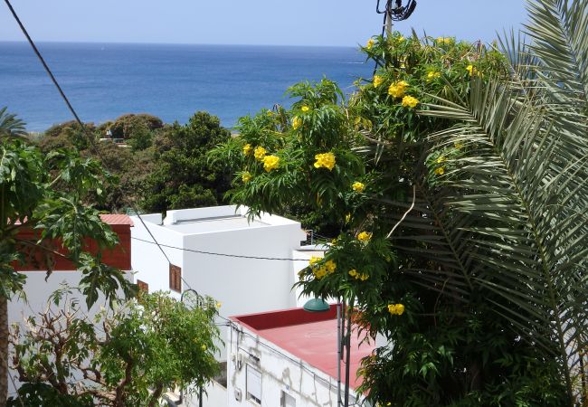 Casa en Santa Cruz de Tenerife - Casa Nieves de Igueste Casa en Santa Cruz de Tenerife - Casa Nieves de Igueste