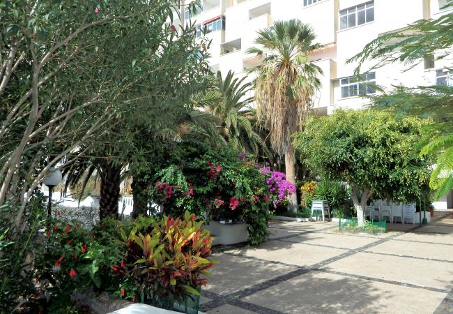 Apartamento en Santa Cruz de Tenerife - Apartment Marechu Apartamento en Santa Cruz de Tenerife - Apartment Marechu