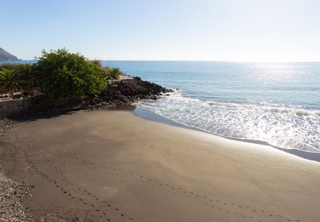 Apartamento en Santa Cruz de Tenerife - Apartment Marechu Apartamento en Santa Cruz de Tenerife - Apartment Marechu
