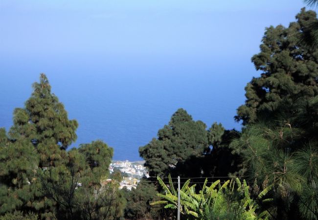 Bungalow en Icod de los Vinos - El Lagar Bungalow en Icod de los Vinos - El Lagar