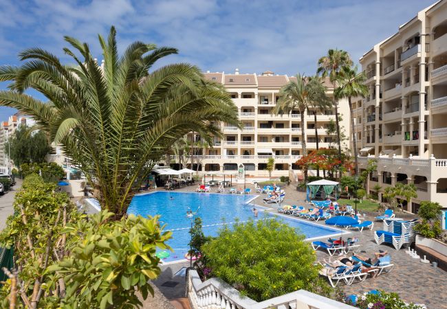 Apartamento en Los Cristianos - Castle Harbour Apartamento en Los Cristianos - Castle Harbour