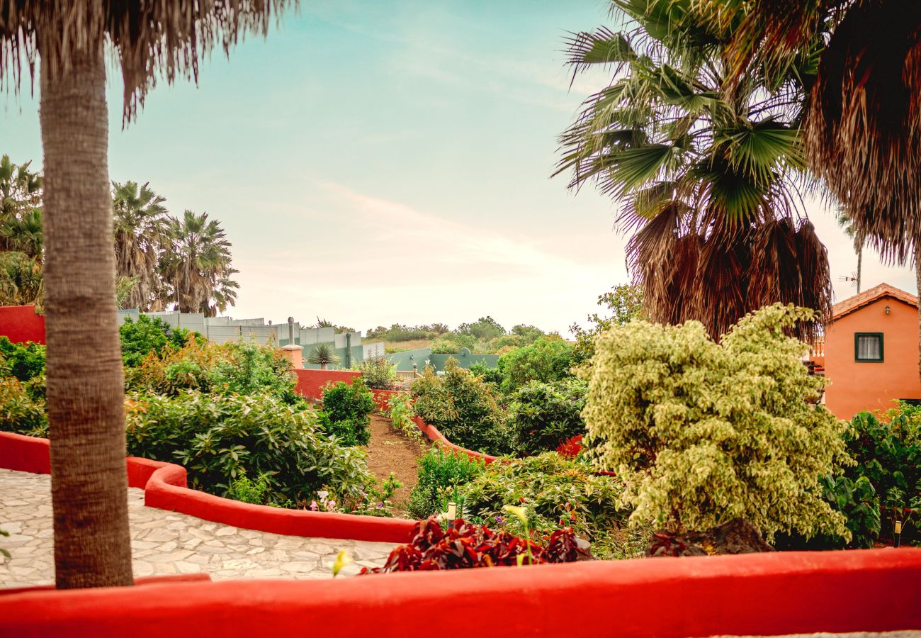 Finca in Icod de los Vinos - Finca La Chamusca Finca in Icod de los Vinos - Finca La Chamusca