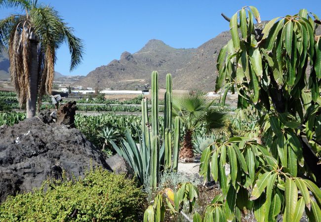 Finca in Santiago del Teide - Finca Los Llanitos I Finca in Santiago del Teide - Finca Los Llanitos I