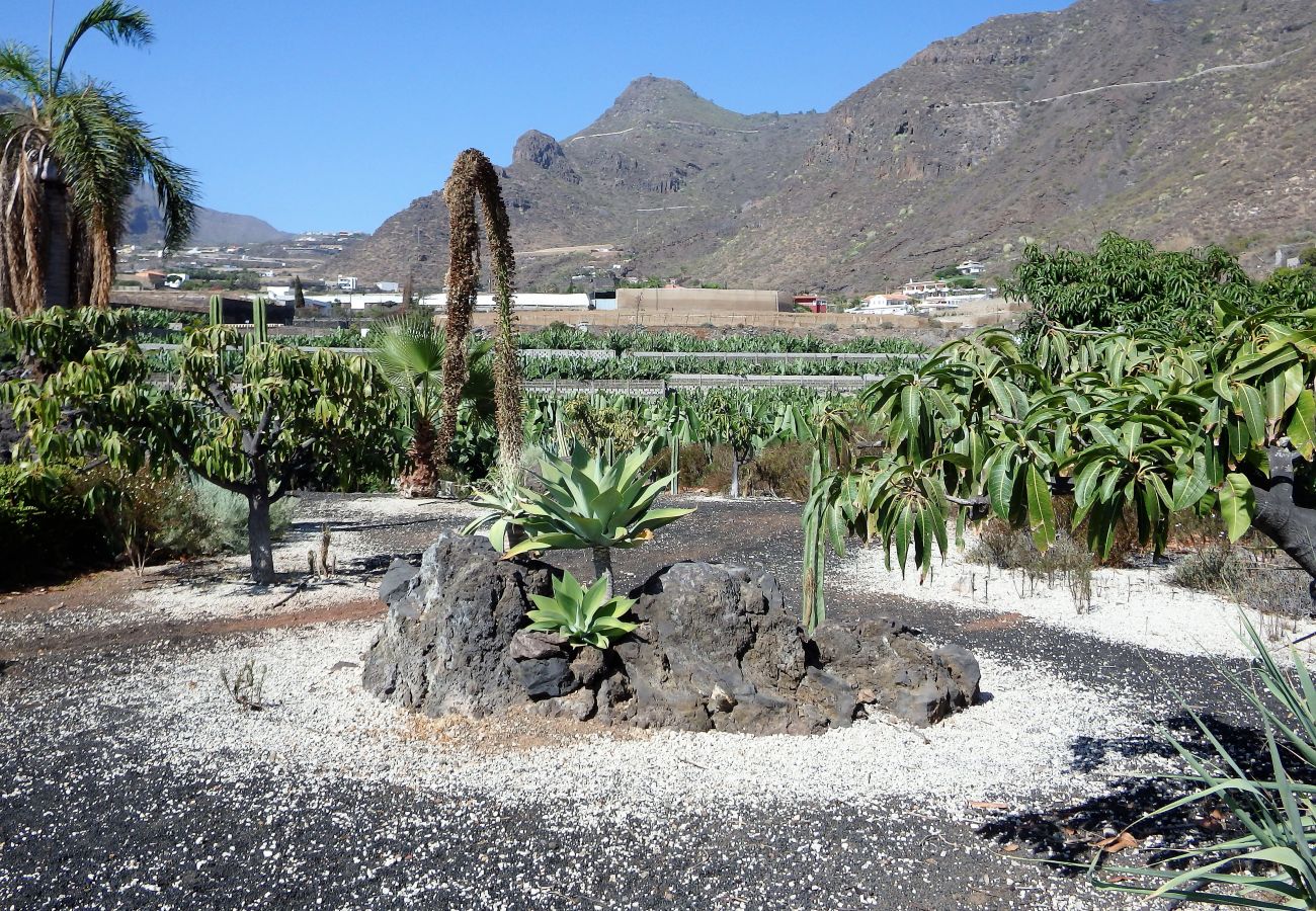 Finca in Santiago del Teide - Finca Los Llanitos I Finca in Santiago del Teide - Finca Los Llanitos I