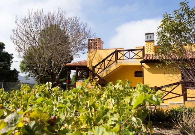 Finca in Icod de los Vinos - Finca Casa Yaya Finca in Icod de los Vinos - Finca Casa Yaya