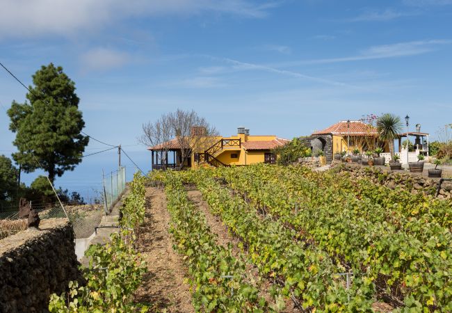 Finca in Icod de los Vinos - Finca Casa Yaya Finca in Icod de los Vinos - Finca Casa Yaya