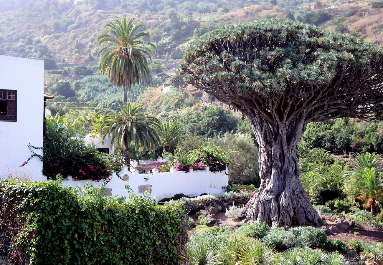 Finca in Icod de los Vinos - Finca Casa Yaya Finca in Icod de los Vinos - Finca Casa Yaya