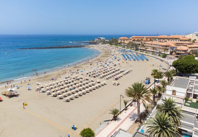 Ferienwohnung in Los Cristianos - Frontline Playa las Vistas with pool, parking, sea Ferienwohnung in Los Cristianos - Frontline Playa las Vistas with pool, parking, sea