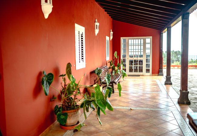 Country house in Icod de los Vinos - Finca La Chamusca Country house in Icod de los Vinos - Finca La Chamusca