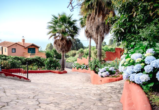 Country house in Icod de los Vinos - Finca La Chamusca Country house in Icod de los Vinos - Finca La Chamusca