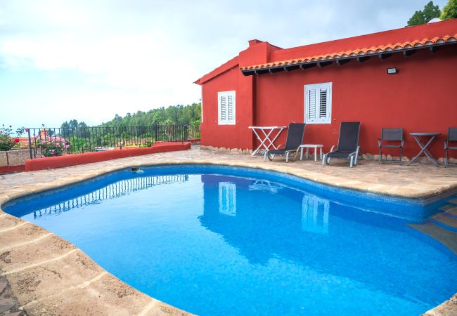 Country house in Icod de los Vinos - Finca La Chamusca Country house in Icod de los Vinos - Finca La Chamusca