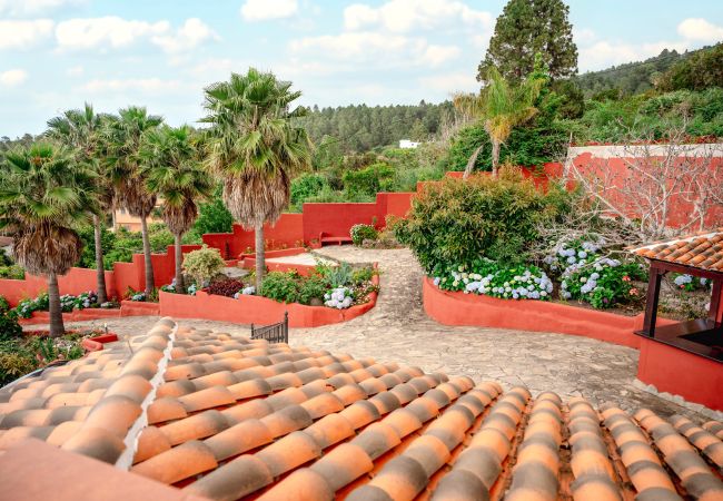 Country house in Icod de los Vinos - Finca La Chamusca Country house in Icod de los Vinos - Finca La Chamusca