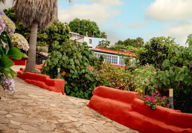 Country house in Icod de los Vinos - Finca La Chamusca Country house in Icod de los Vinos - Finca La Chamusca