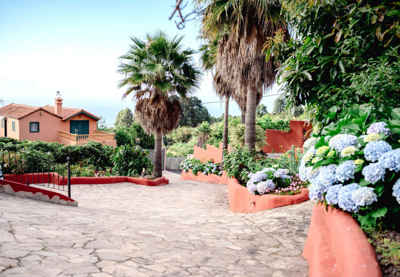 Country house in Icod de los Vinos - Finca La Chamusca Country house in Icod de los Vinos - Finca La Chamusca