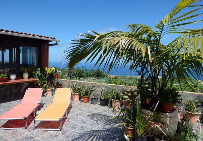 Country house in Icod de los Vinos - Finca La Villa Country house in Icod de los Vinos - Finca La Villa
