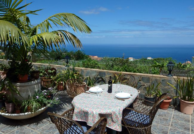 Country house in Icod de los Vinos - Finca La Villa Country house in Icod de los Vinos - Finca La Villa