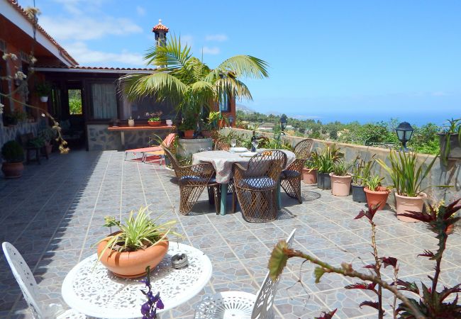 Country house in Icod de los Vinos - Finca La Villa Country house in Icod de los Vinos - Finca La Villa