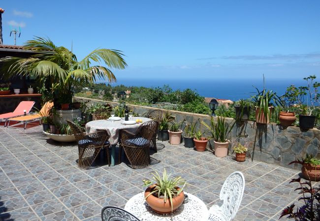 Country house in Icod de los Vinos - Finca La Villa Country house in Icod de los Vinos - Finca La Villa