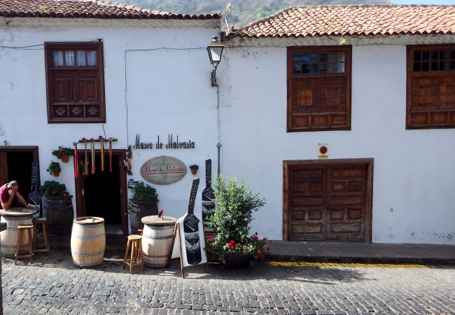Country house in Icod de los Vinos - Finca La Villa Country house in Icod de los Vinos - Finca La Villa