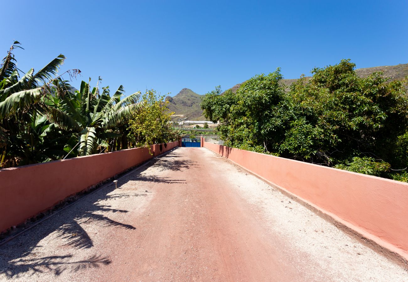 Country house in Santiago del Teide - Finca Los Llanitos I Country house in Santiago del Teide - Finca Los Llanitos I