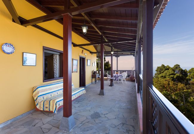 Country house in Icod de los Vinos - Finca Casa Yaya Country house in Icod de los Vinos - Finca Casa Yaya