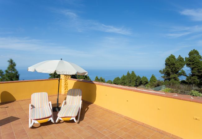 Country house in Icod de los Vinos - Finca Casa Yaya Country house in Icod de los Vinos - Finca Casa Yaya