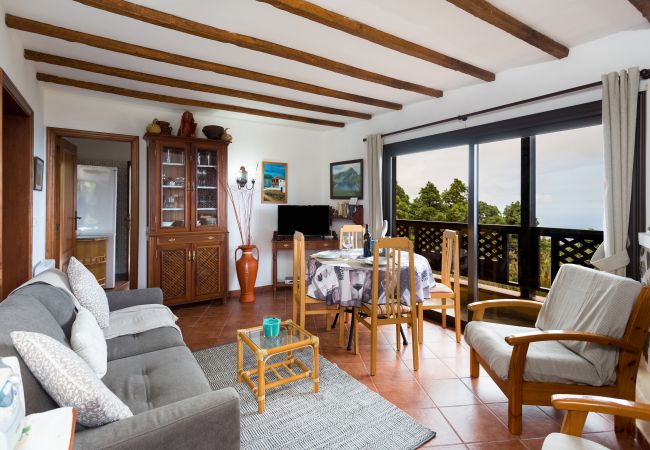 Country house in Icod de los Vinos - Finca Casa Yaya Country house in Icod de los Vinos - Finca Casa Yaya