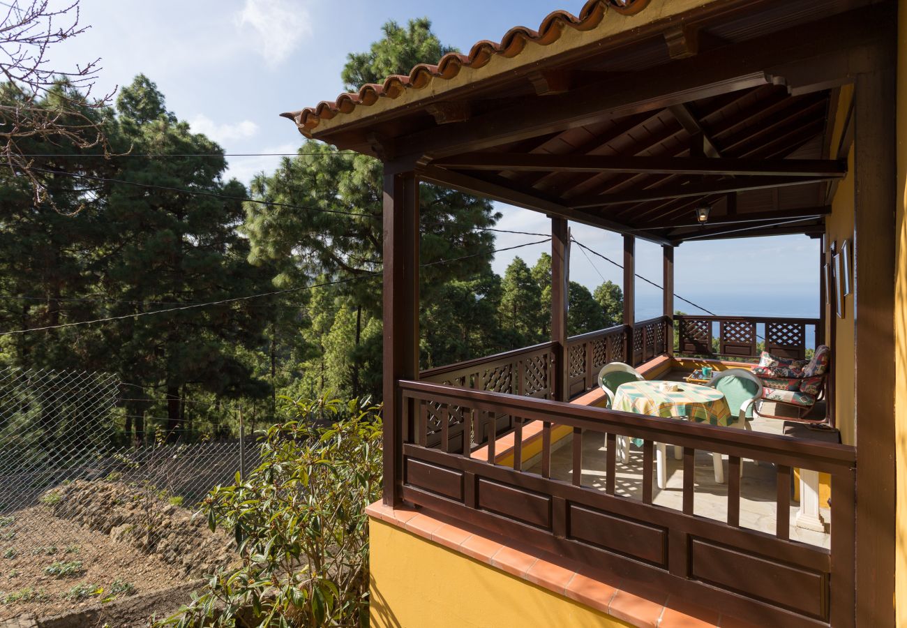 Country house in Icod de los Vinos - Finca Casa Yaya Country house in Icod de los Vinos - Finca Casa Yaya