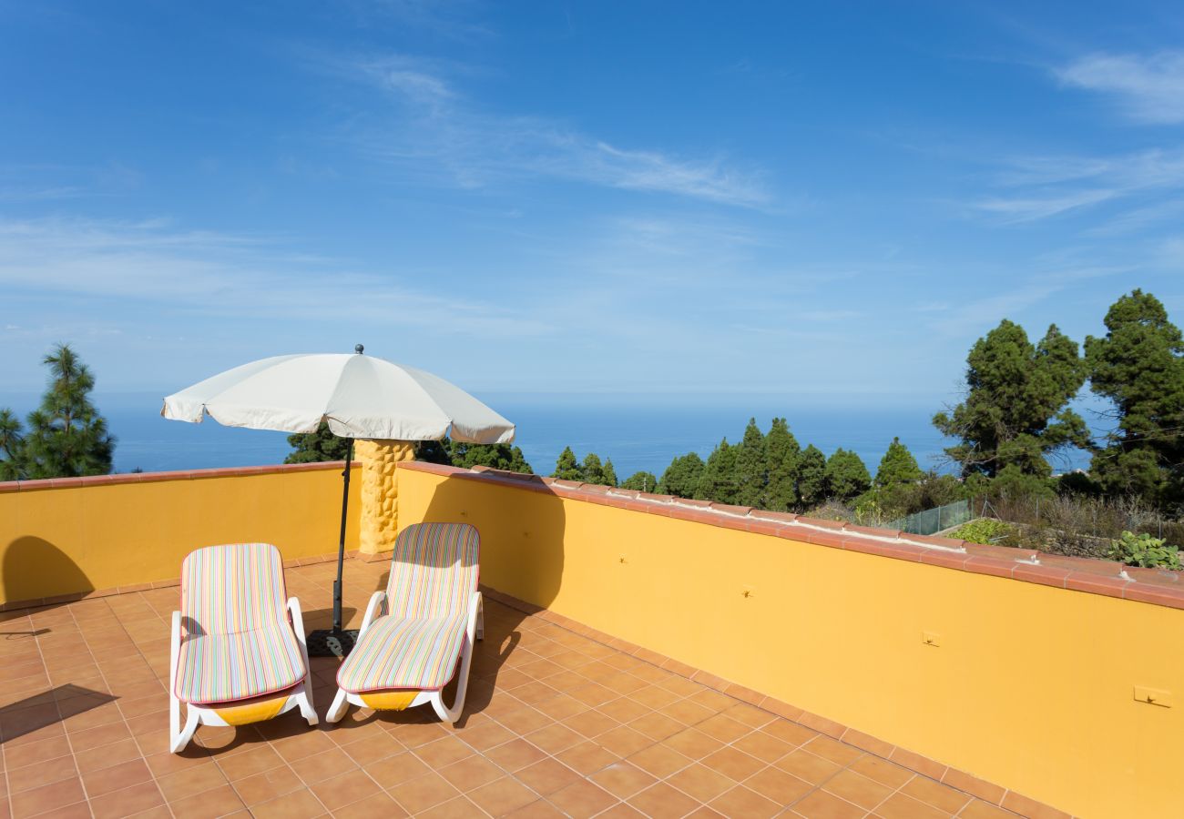 Country house in Icod de los Vinos - Finca Casa Yaya Country house in Icod de los Vinos - Finca Casa Yaya