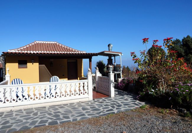 Bungalow in Icod de los Vinos - El Lagar Bungalow in Icod de los Vinos - El Lagar
