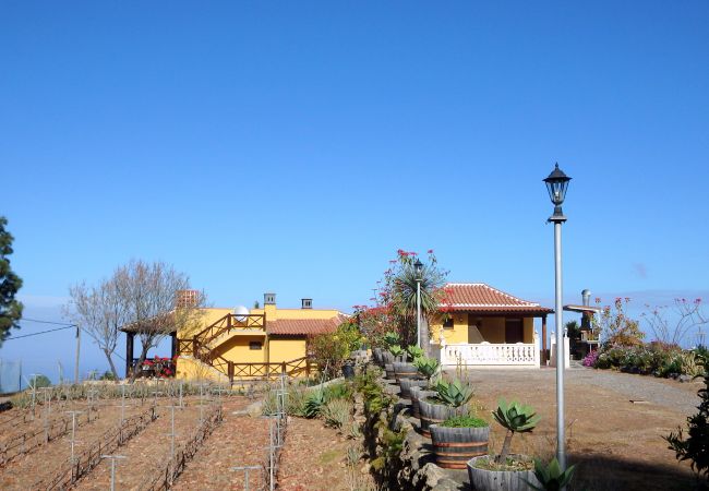 Bungalow in Icod de los Vinos - El Lagar Bungalow in Icod de los Vinos - El Lagar
