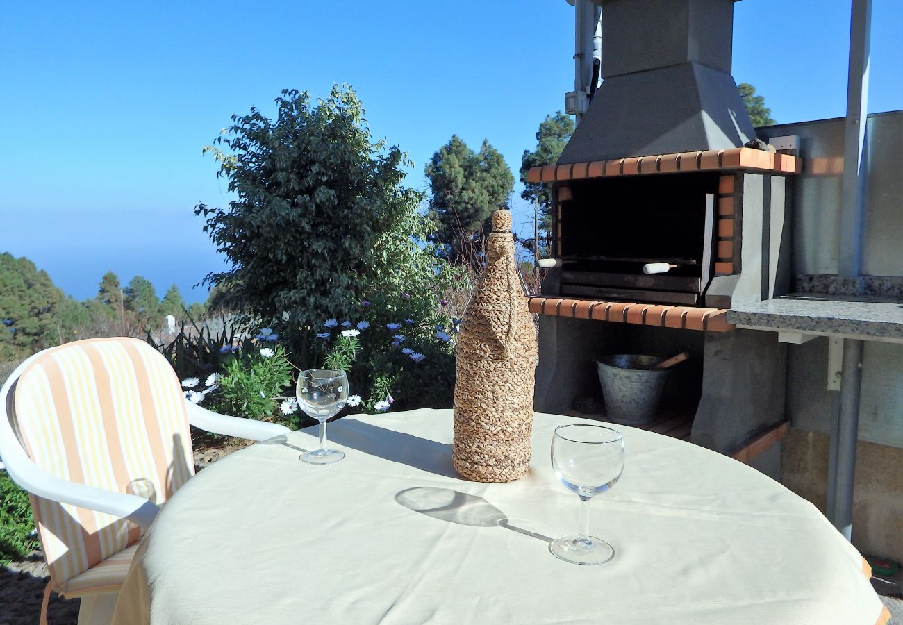 Bungalow in Icod de los Vinos - El Lagar Bungalow in Icod de los Vinos - El Lagar