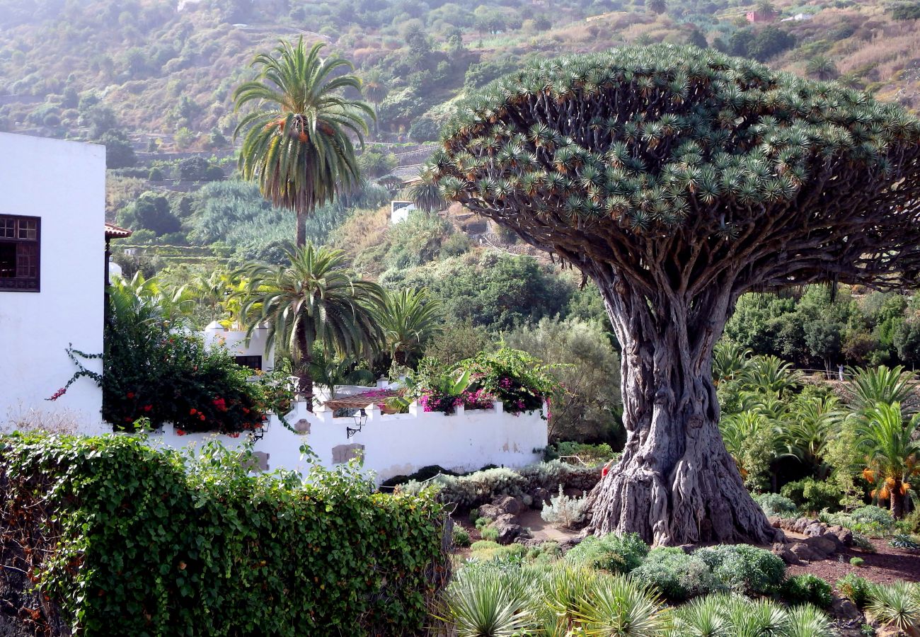 Bungalow in Icod de los Vinos - El Lagar Bungalow in Icod de los Vinos - El Lagar