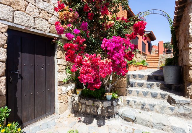 House in Fasnia - La casa de Aya