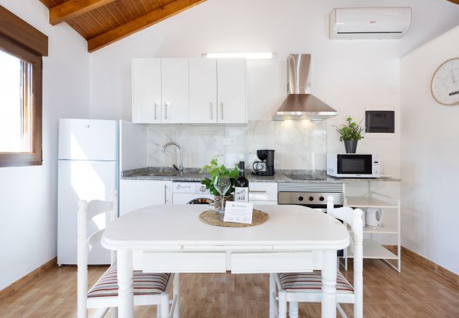 Studio in Tejeda - Casa Maria with Roque Nublo view Studio in Tejeda - Casa Maria with Roque Nublo view