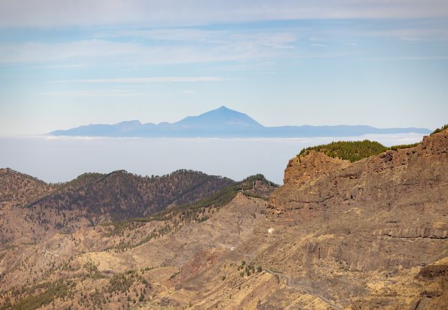 Studio in Tejeda - Casa Maria with Roque Nublo view Studio in Tejeda - Casa Maria with Roque Nublo view