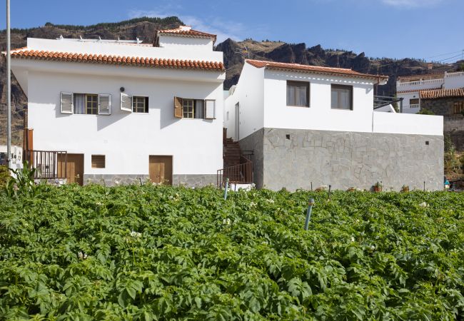 Studio in Tejeda - Casa Maria with Roque Nublo view Studio in Tejeda - Casa Maria with Roque Nublo view