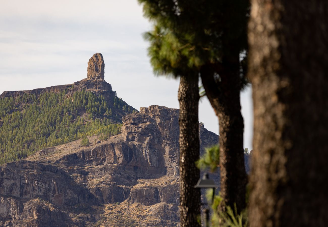 Studio in Tejeda - Casa Maria with Roque Nublo view Studio in Tejeda - Casa Maria with Roque Nublo view