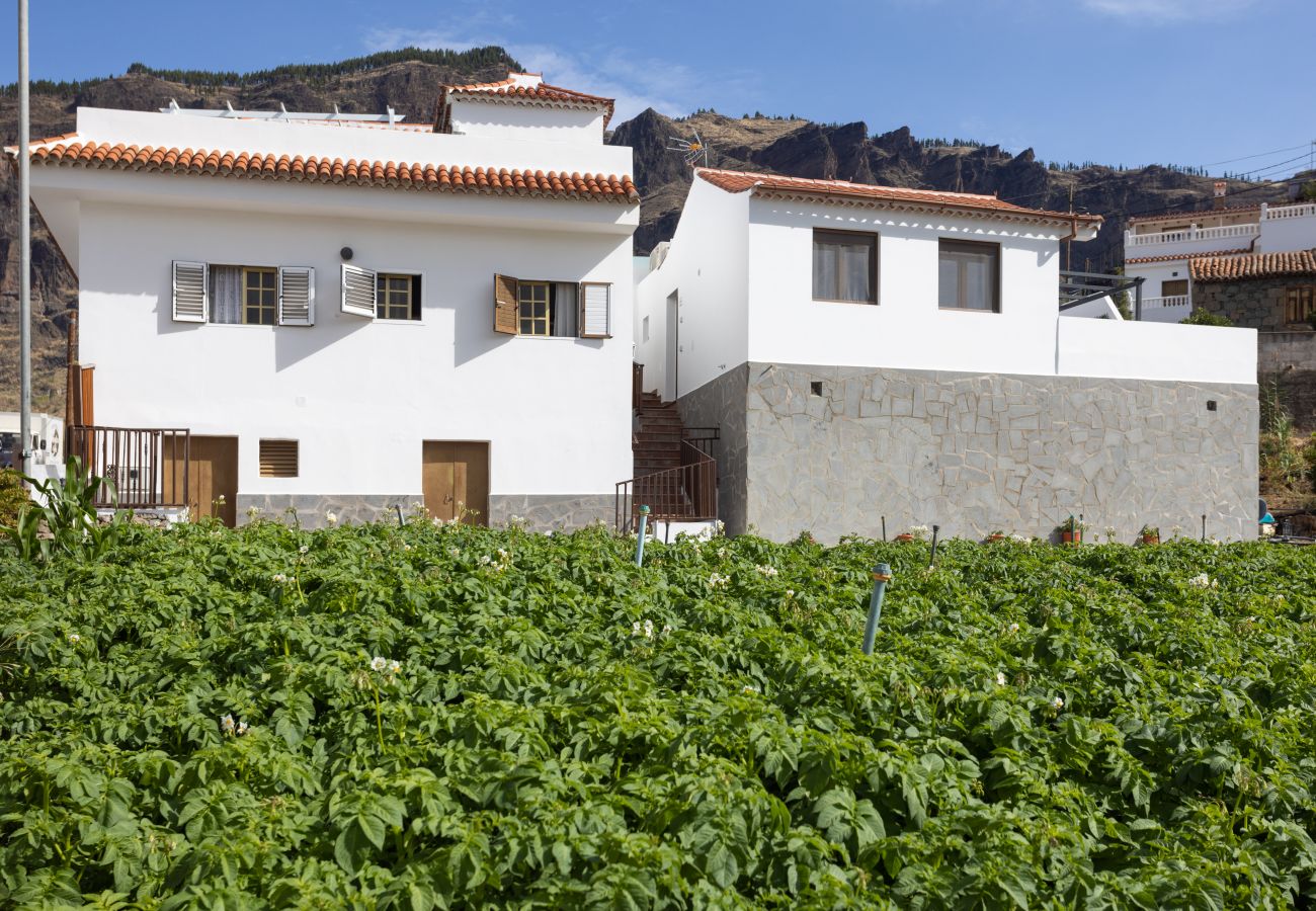 Studio in Tejeda - Casa Maria with Roque Nublo view Studio in Tejeda - Casa Maria with Roque Nublo view