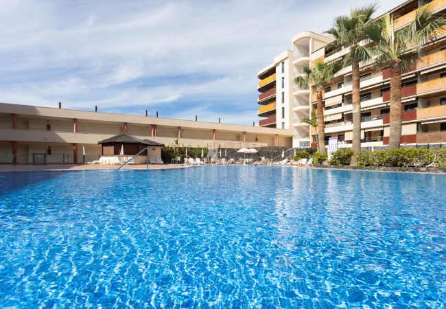  in Santiago del Teide - Balcon de los Gigantes with pool view