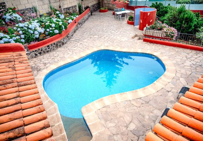 Domaine à Icod de los Vinos - Finca La Chamusca Domaine à Icod de los Vinos - Finca La Chamusca