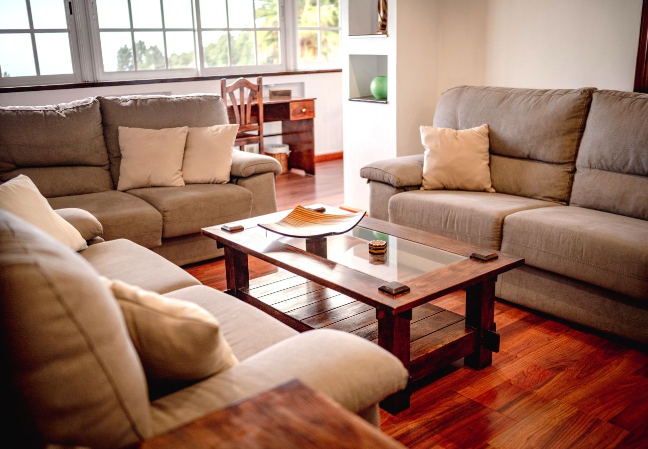 Domaine à Icod de los Vinos - Finca La Chamusca Domaine à Icod de los Vinos - Finca La Chamusca