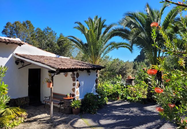  à Icod de los Vinos - Finca Llano de la cebolla